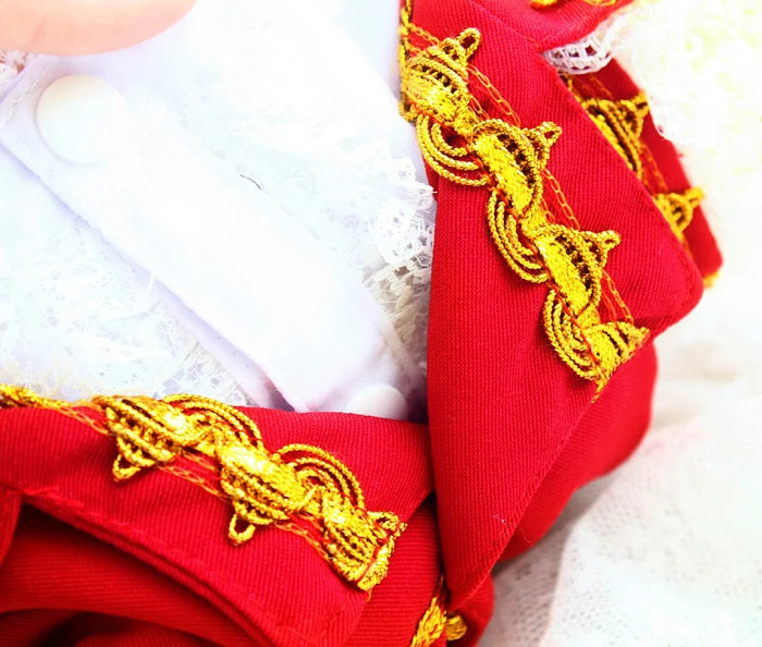 Handmade Unique Design Dog Clothes European Court Style Pet Costume Suit Lace Cuffs Collar Twin Sets Apparel Cat Poodle Maltese