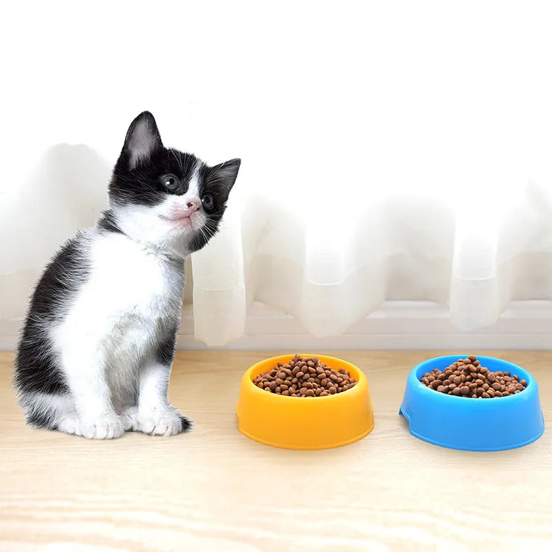 Practical Colorful Round Travel Bowl