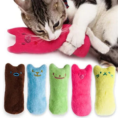 Catnip Teeth Grinding Plush Toy