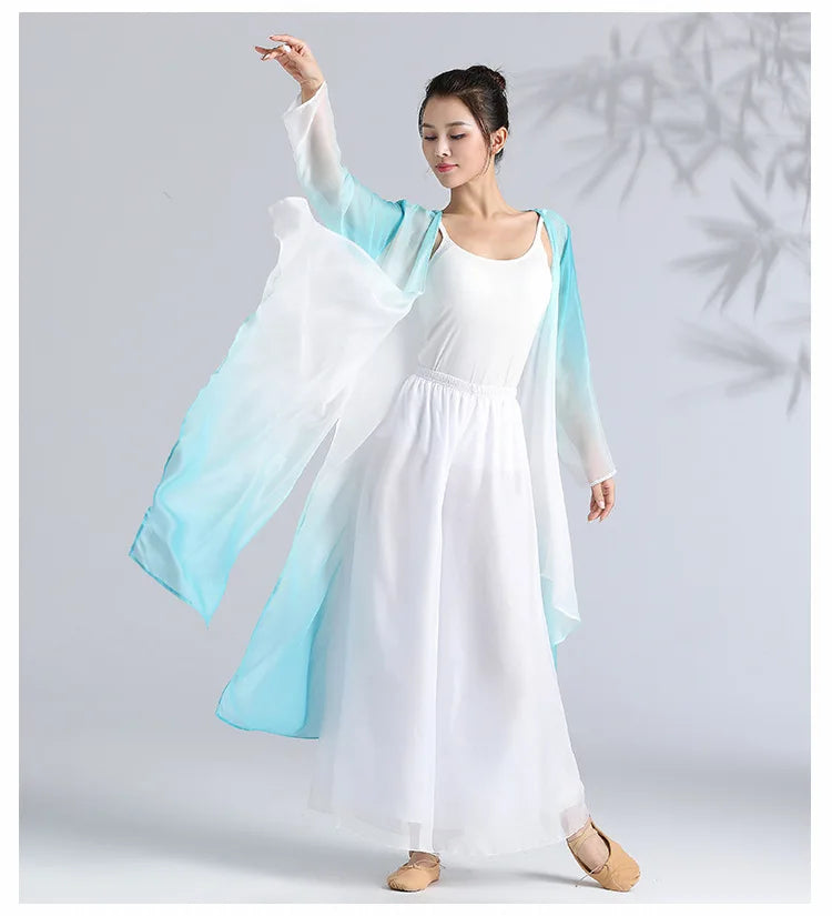 Classical Gradient Chiffon Dance Dress