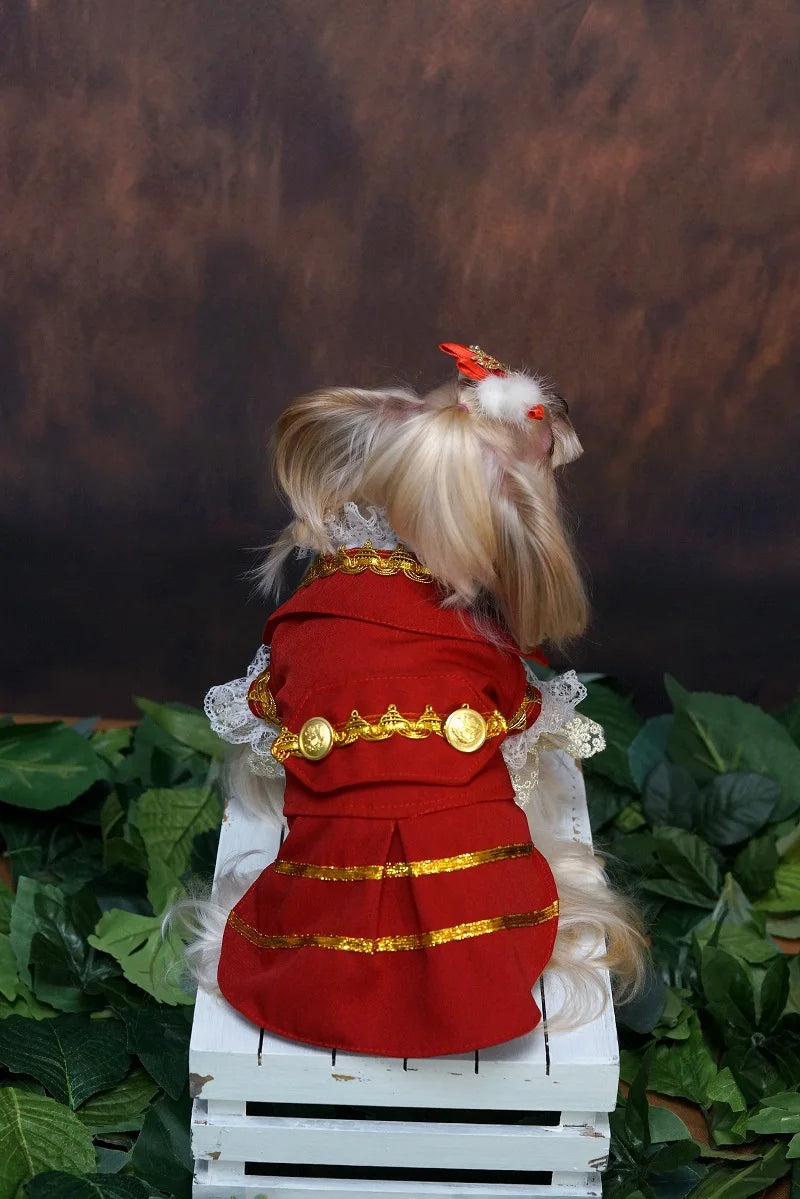 Handmade Unique Design Dog Clothes European Court Style Pet Costume Suit Lace Cuffs Collar Twin Sets Apparel Cat Poodle Maltese