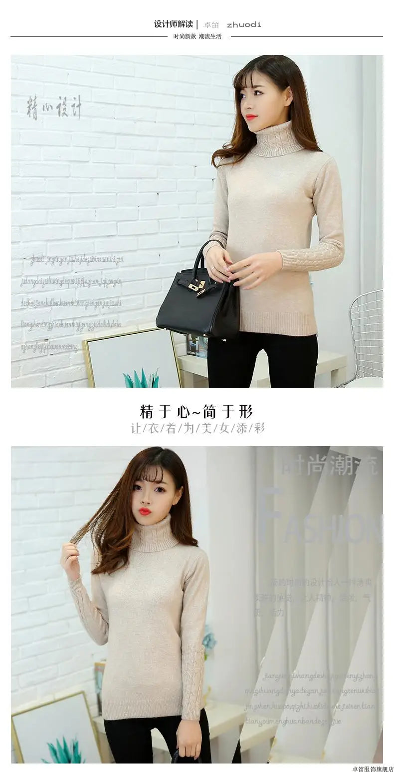 Cashmere Style Turtleneck Knit Pullover