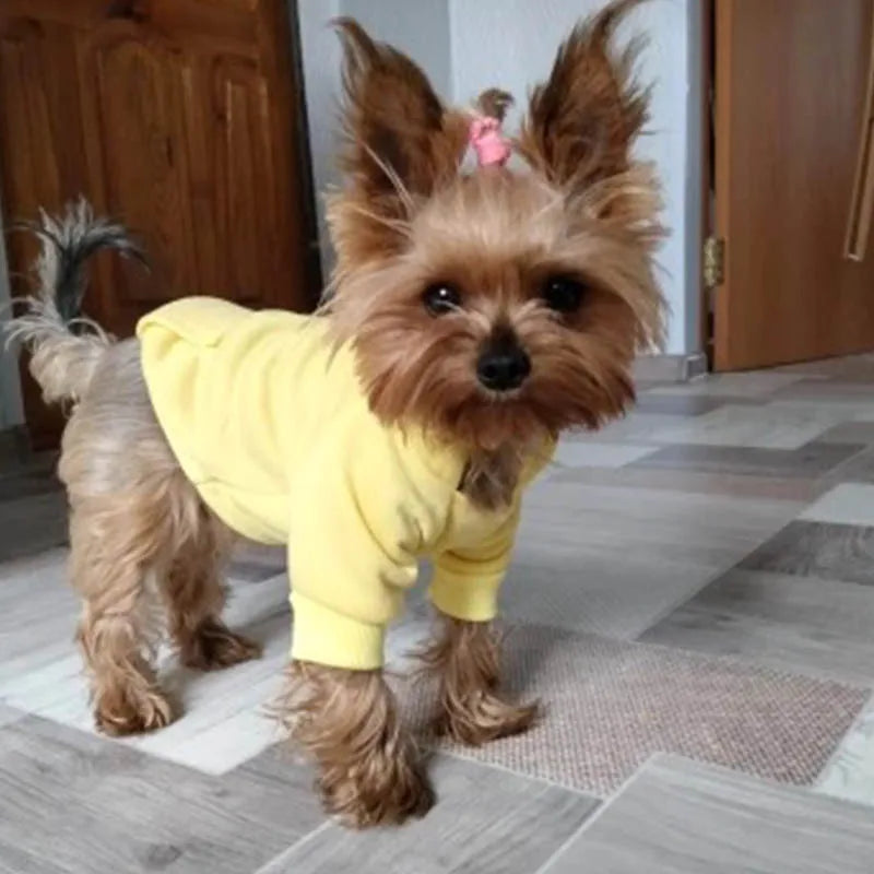 Cozy Pocket Dog Hoodie Coat