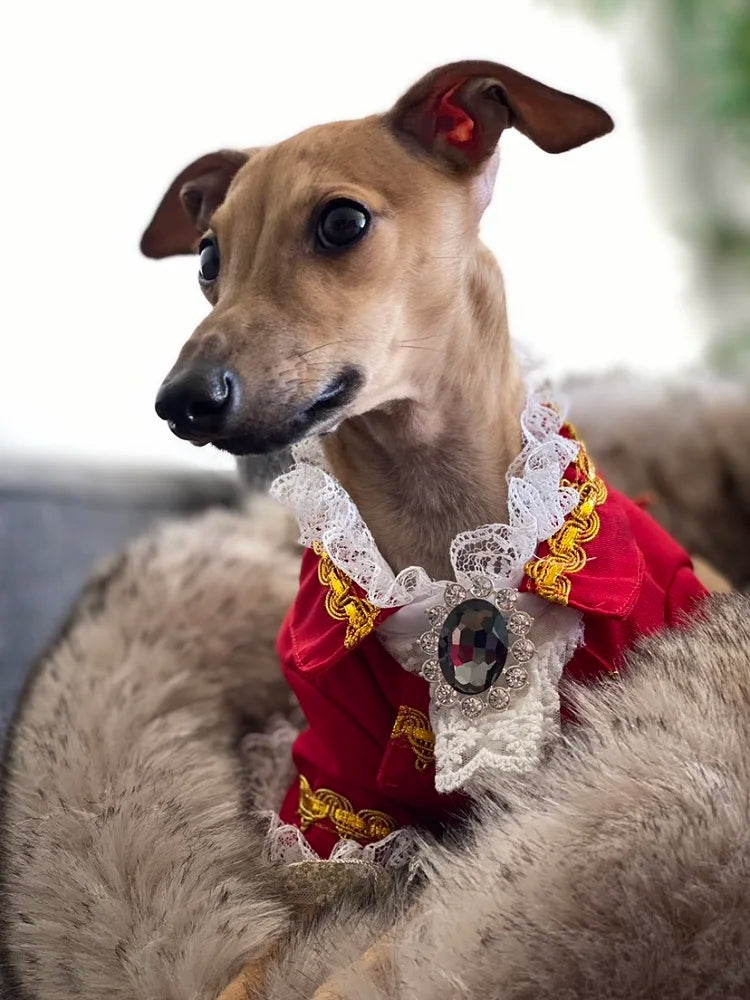 Handmade Unique Design Dog Clothes European Court Style Pet Costume Suit Lace Cuffs Collar Twin Sets Apparel Cat Poodle Maltese