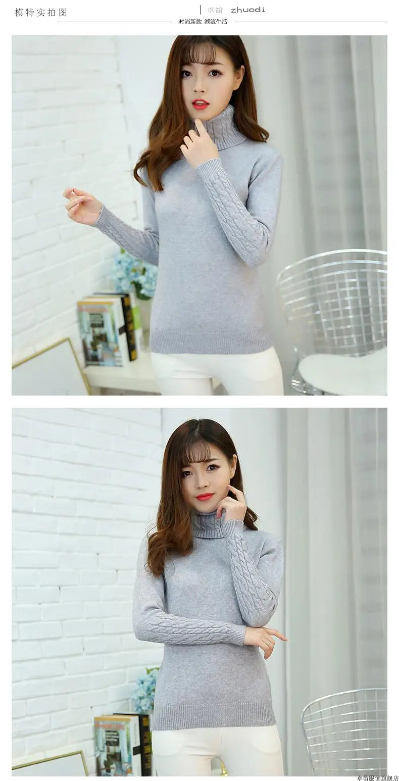 Cashmere Style Turtleneck Knit Pullover