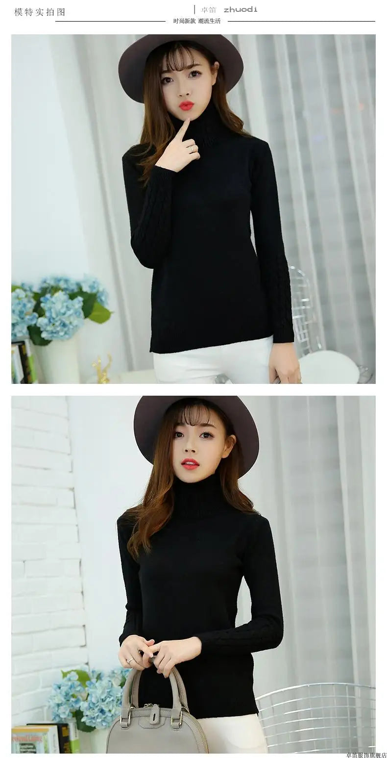 Cashmere Style Turtleneck Knit Pullover