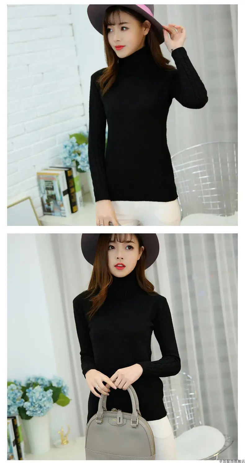 Cashmere Style Turtleneck Knit Pullover