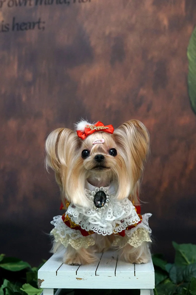 Handmade Unique Design Dog Clothes European Court Style Pet Costume Suit Lace Cuffs Collar Twin Sets Apparel Cat Poodle Maltese
