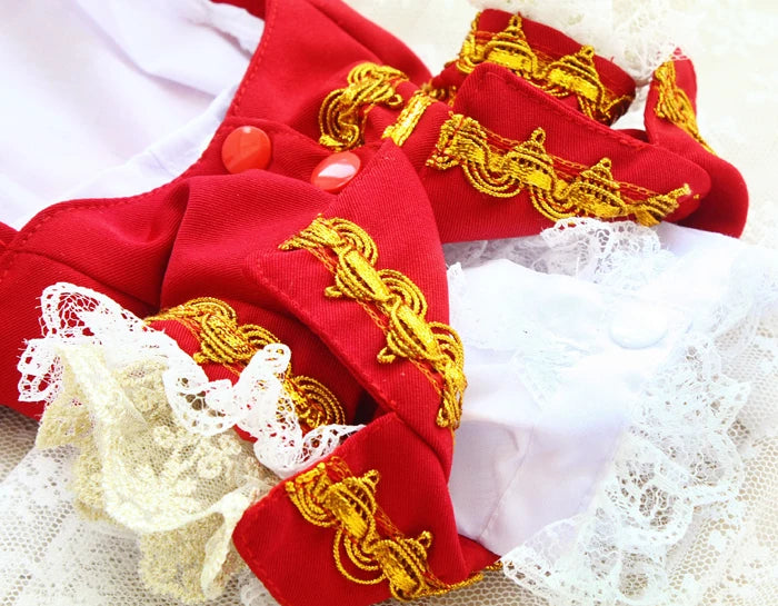 Handmade Unique Design Dog Clothes European Court Style Pet Costume Suit Lace Cuffs Collar Twin Sets Apparel Cat Poodle Maltese