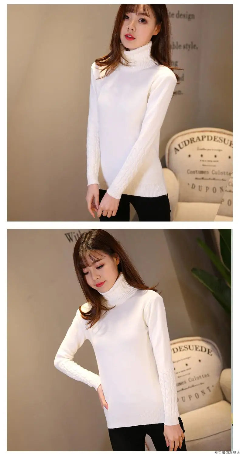 Cashmere Style Turtleneck Knit Pullover