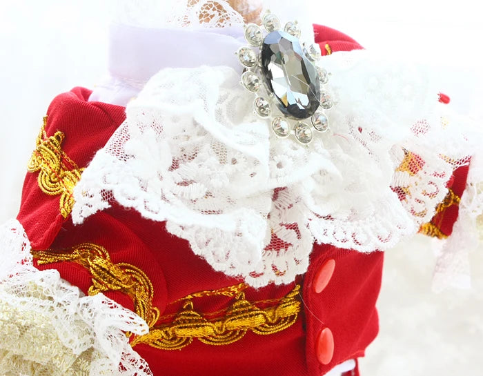 Handmade Unique Design Dog Clothes European Court Style Pet Costume Suit Lace Cuffs Collar Twin Sets Apparel Cat Poodle Maltese