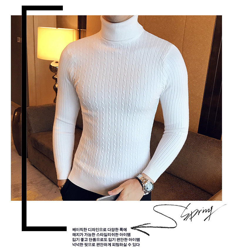 Slim Turtleneck Knit Pullover