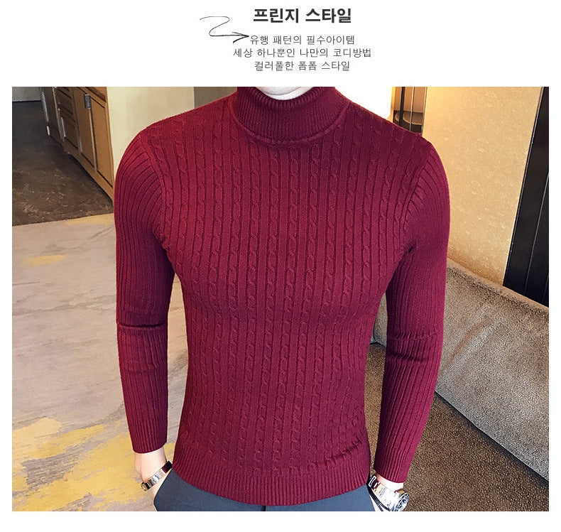 Slim Turtleneck Knit Pullover