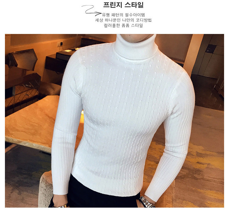 Slim Turtleneck Knit Pullover