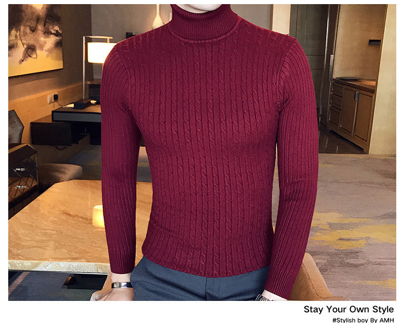 Slim Turtleneck Knit Pullover