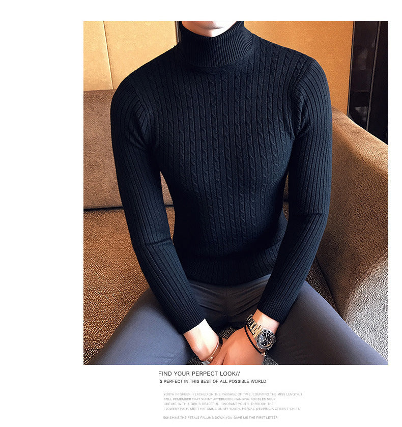 Slim Turtleneck Knit Pullover