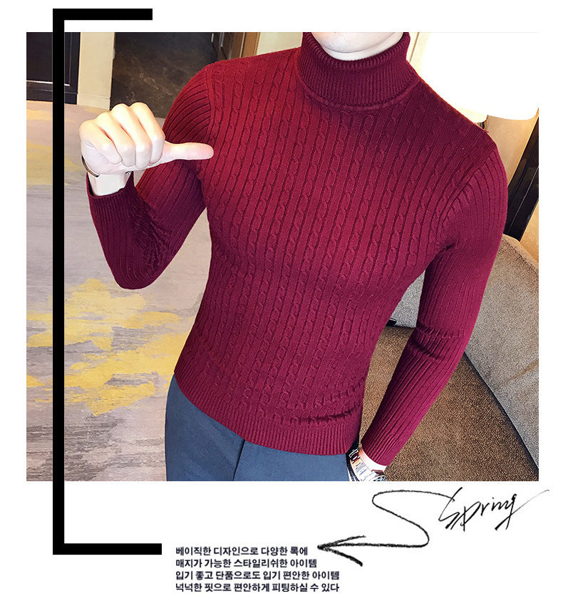 Slim Turtleneck Knit Pullover