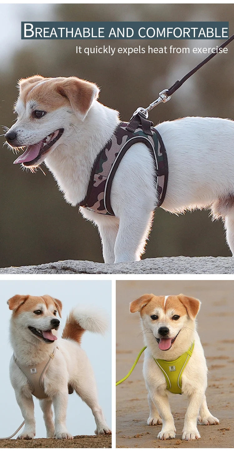 Reflective Outdoor Walking Harness Set
