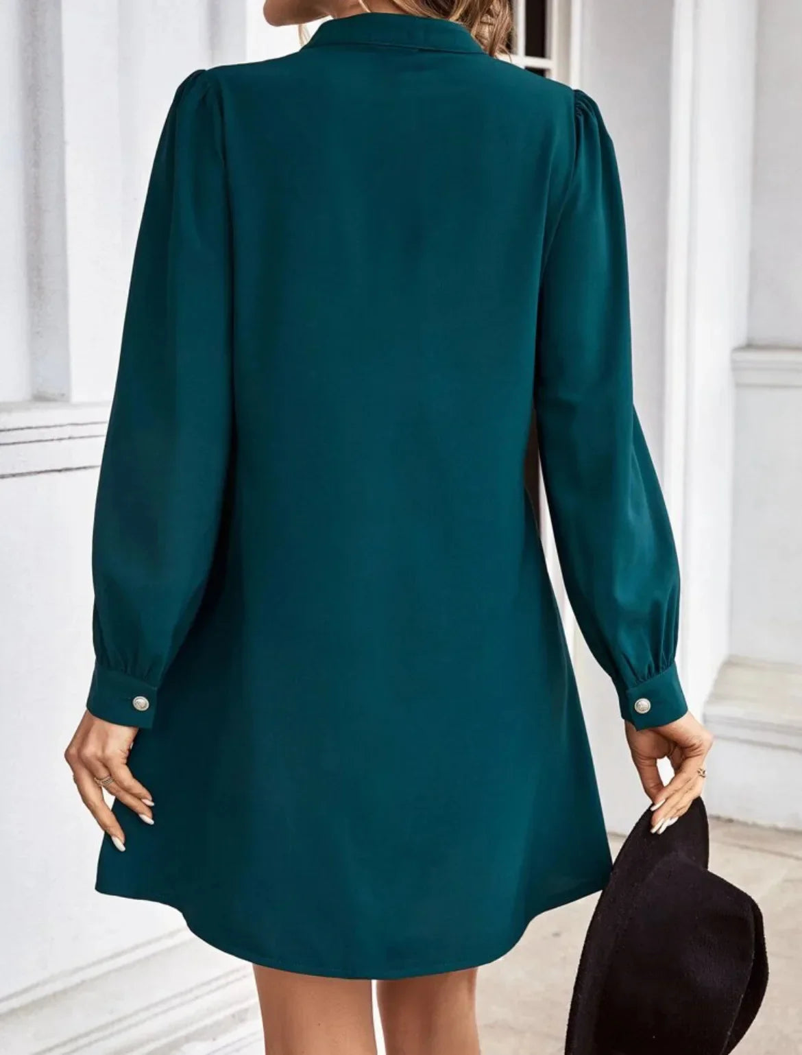 V-Neck Long Sleeve Mini Dress