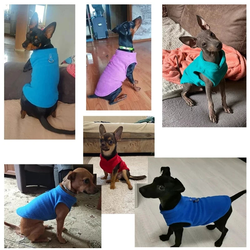 D-Ring Warm Fleece Dog Vest