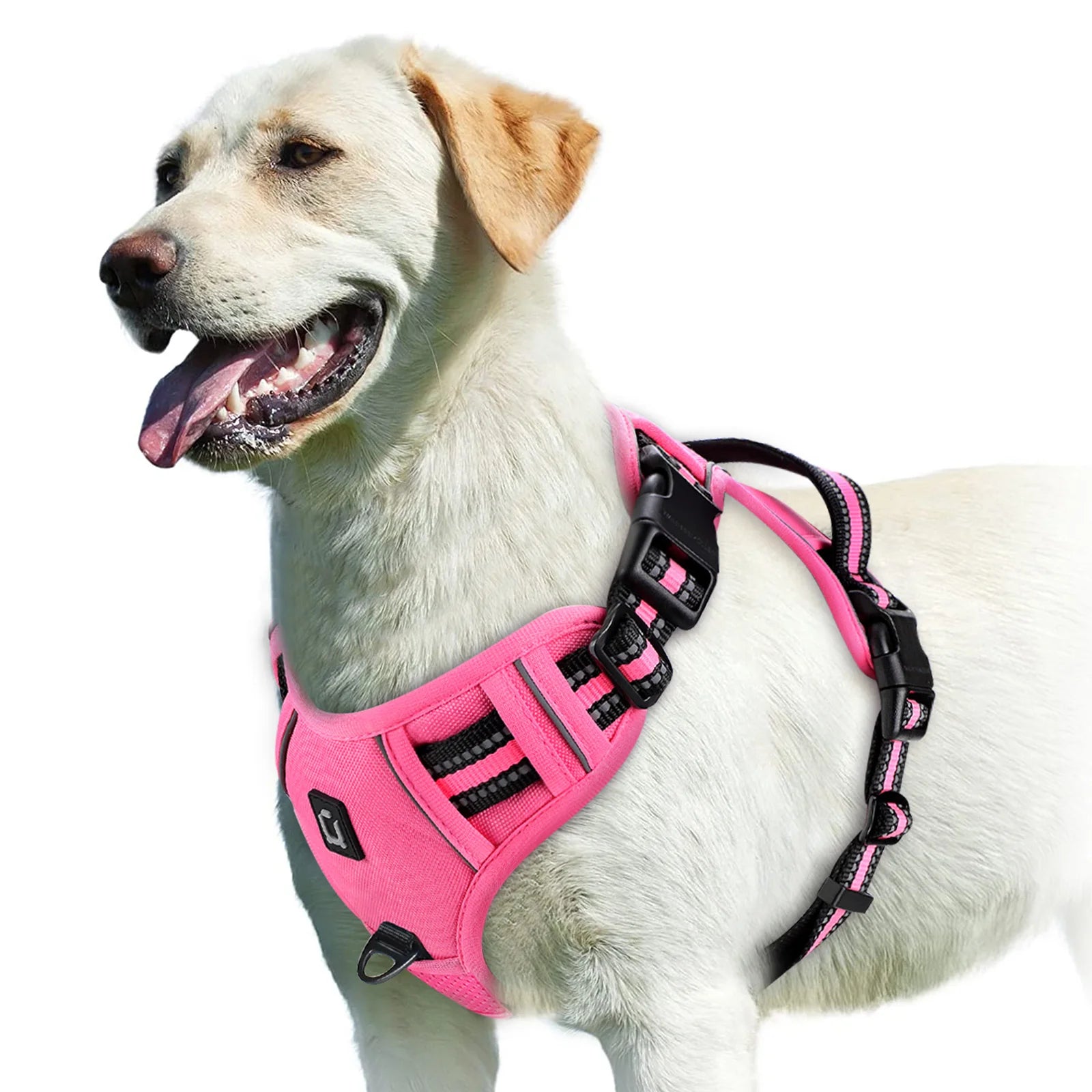 Easy Control Handle No-Pull Vest