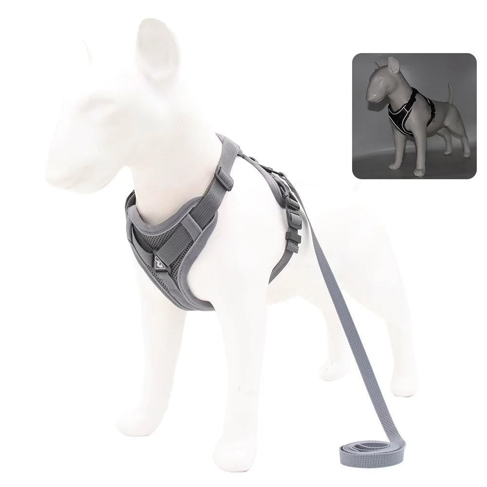 Padded Breakaway Vest Harness Set