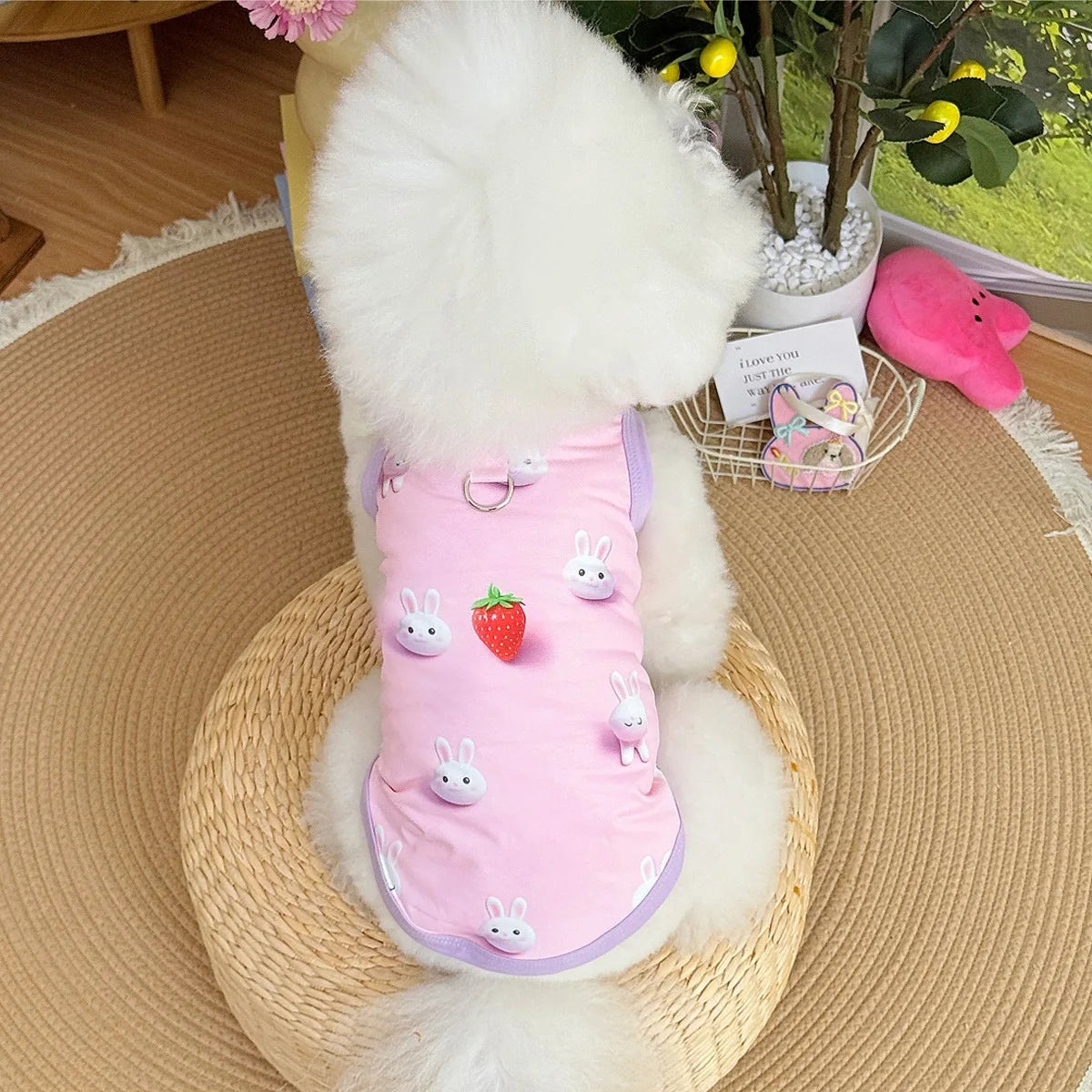 Spring pet apparel: cat & dog clothing - cartoon 3d print, teddy style, cute & breathable, anti-shedding, dropshipping available