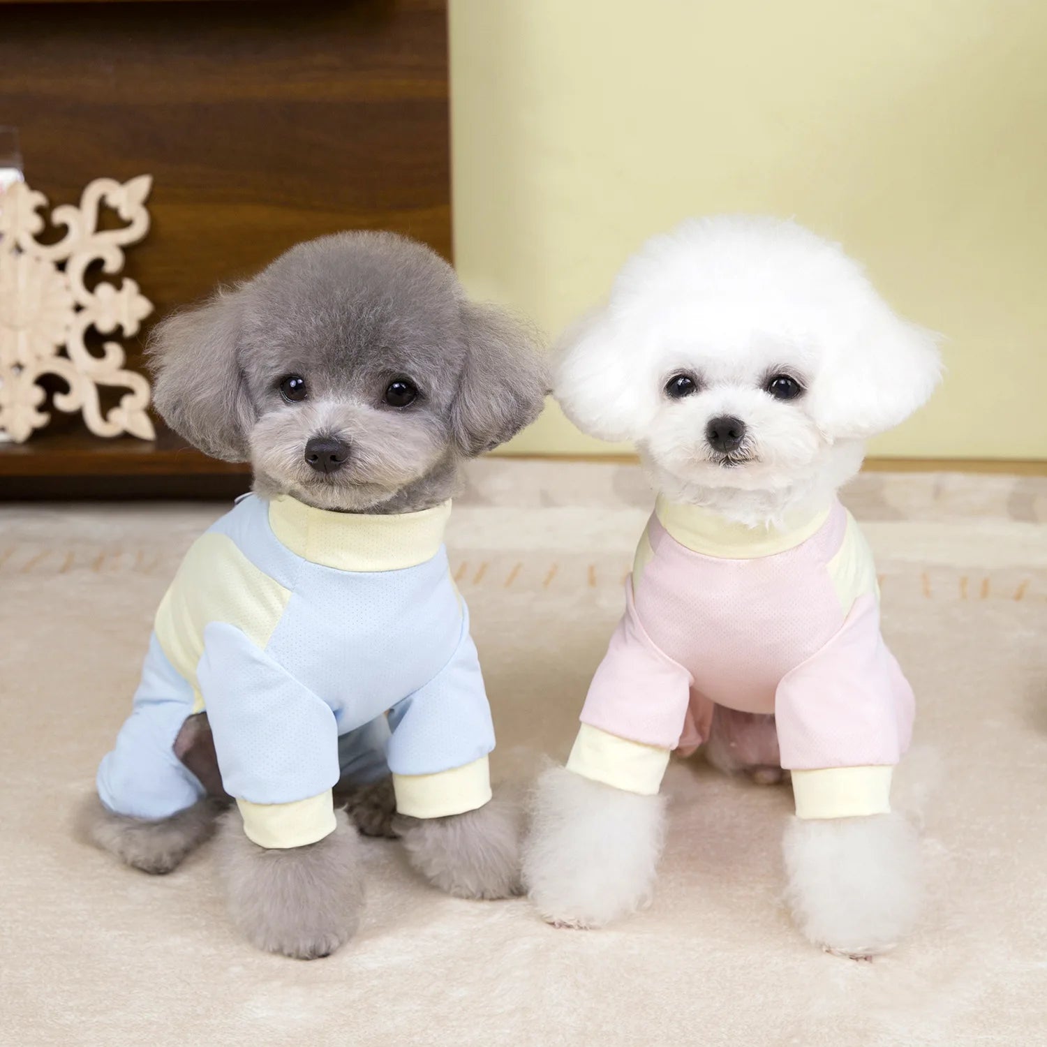Sun Protection Four-Legged Pet Outfit