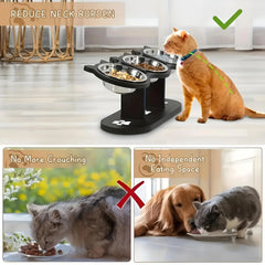 Elevated Cat Food Bowl with Black Wooden Support Frame Stainless Steel Cats Bowls 15° Stand Sloped Feeding & Watering Supplies