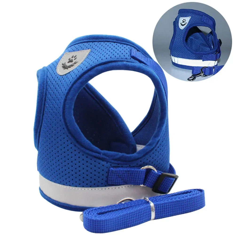 Escape-Proof Mesh Cat Harness Set