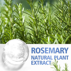 Rosemary Pure Essential Oil