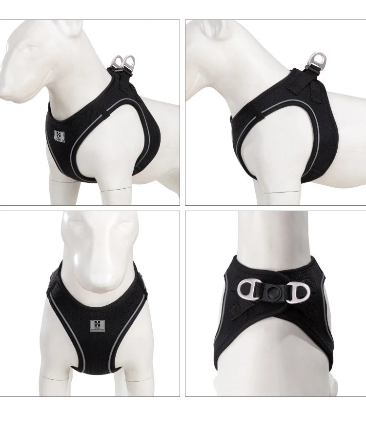 Reflective Outdoor Walking Harness Set