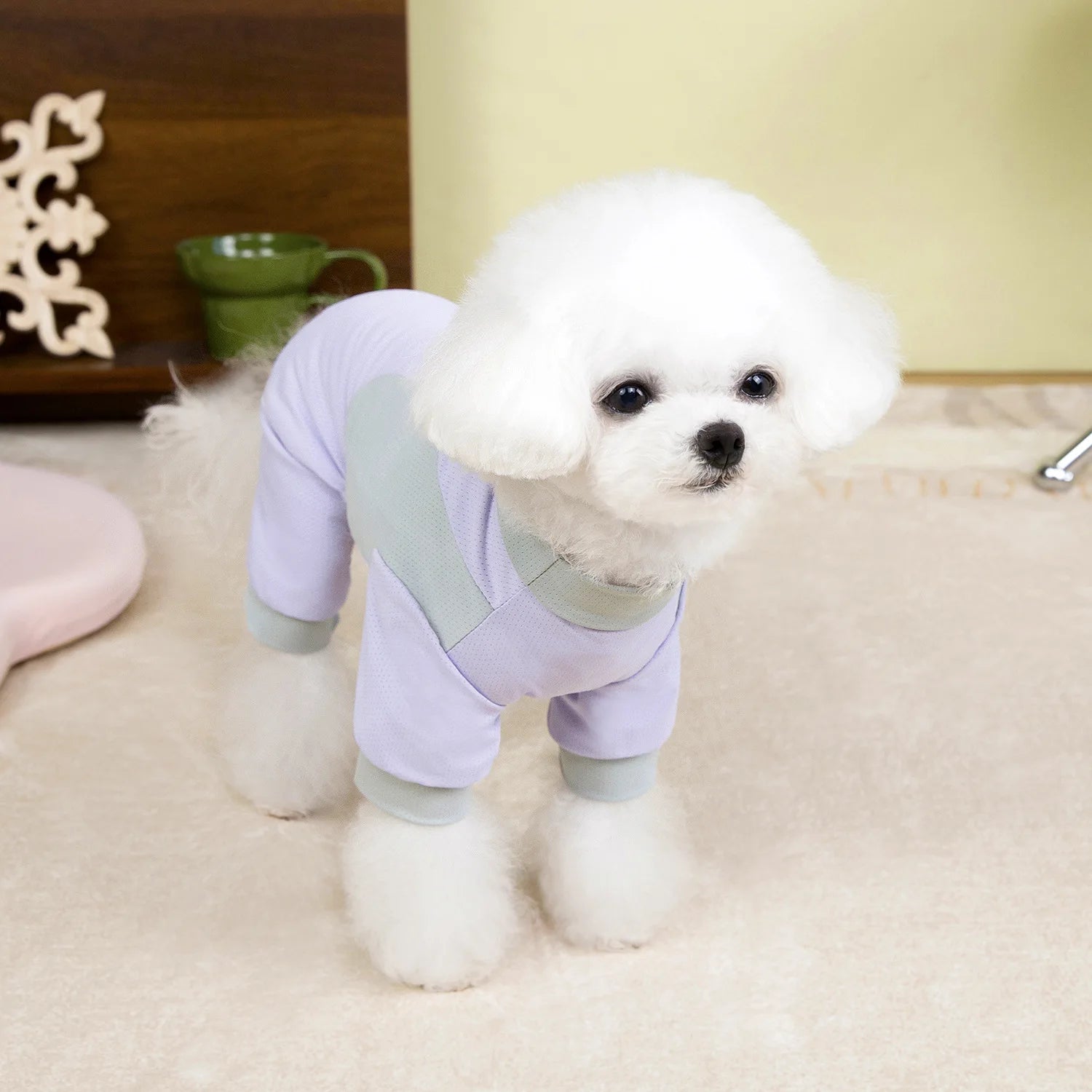 Sun Protection Four-Legged Pet Outfit
