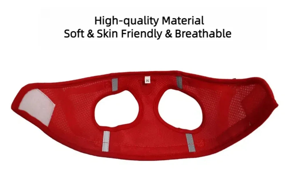 Escape-Proof Mesh Cat Harness Set