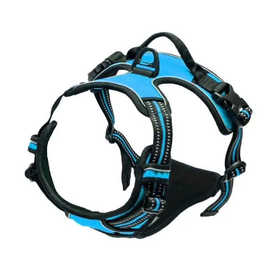 Complete Dog Collar Harness Set