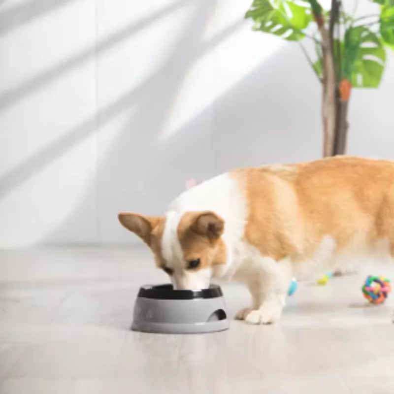 Support Accessory Floating Pet Bowl