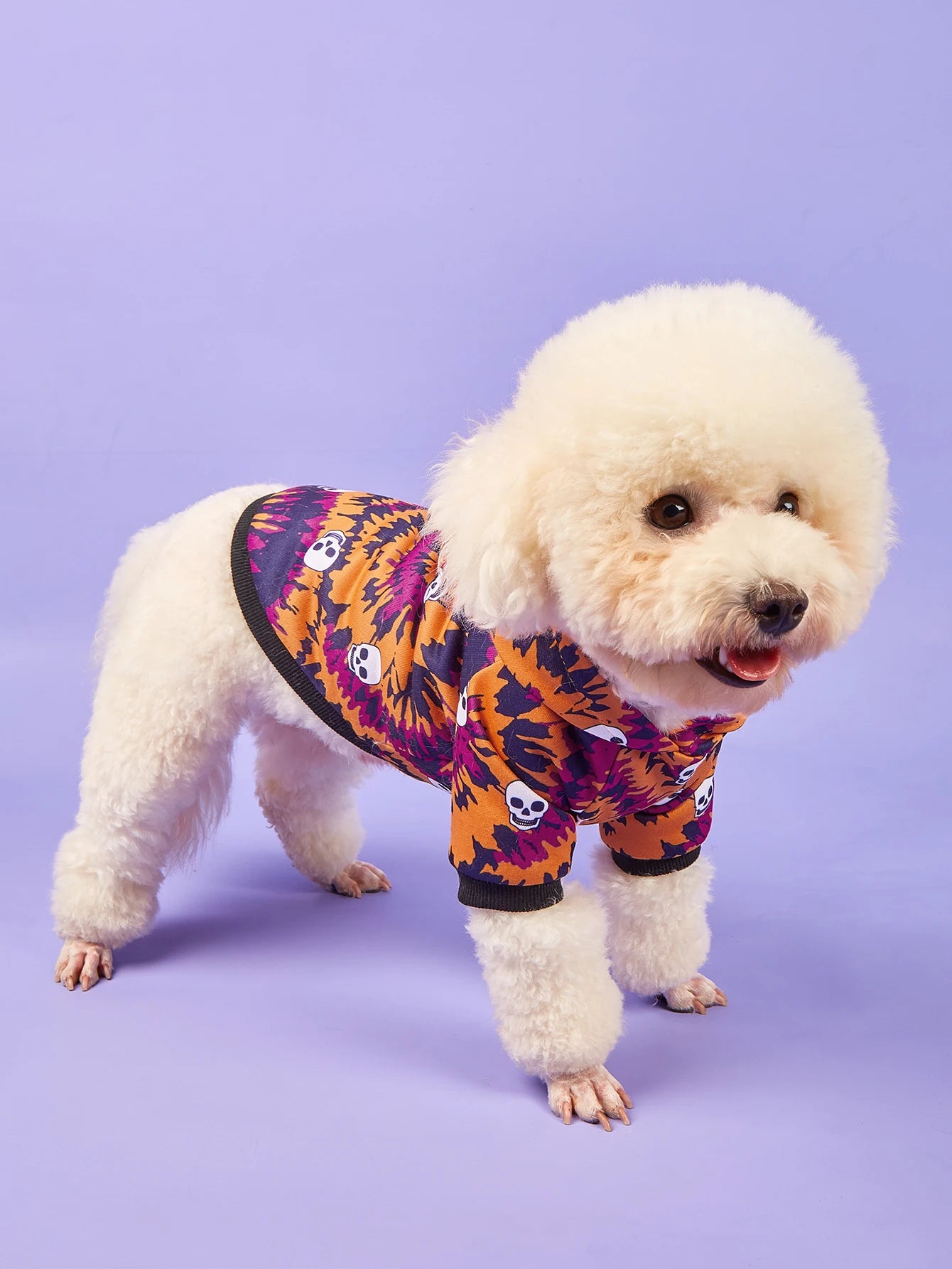 Halloween Print Pet Hoodie Sweatshirt