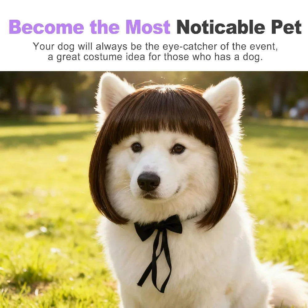 Pet Wigs Cosplay Props Dog Cat Cross-Dressing Hair Set Photography Funny Props Head Accessories Prank Pet Supplies Costumes DIY
