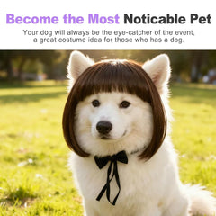 Pet Wigs Cosplay Props Dog Cat Cross-Dressing Hair Set Photography Funny Props Head Accessories Prank Pet Supplies Costumes DIY
