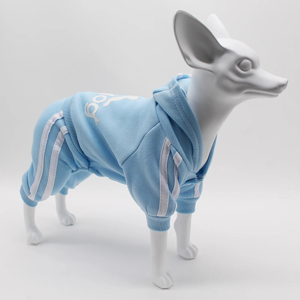Comfortable Spring Dog Sports Suit