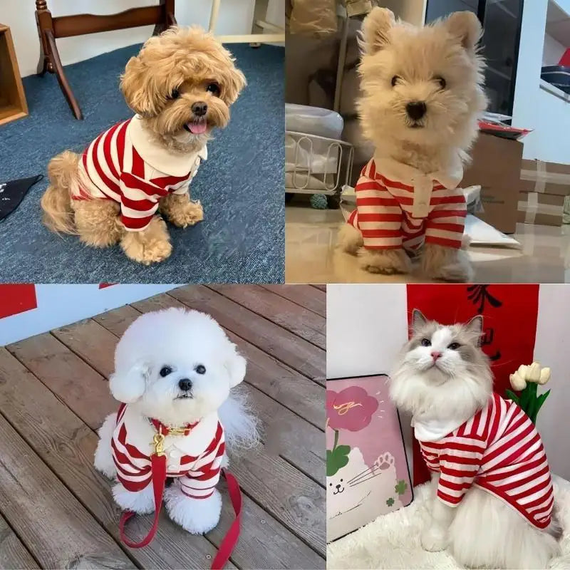 Striped Pet Shirt Soft Pullover Outfit Suitable For Puppy Dogs Cats Schnauzers Pomeranians Daily Casual Pet Apparel