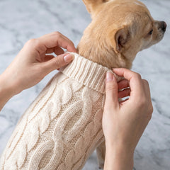 Twist Knit Warm Dog Sweater