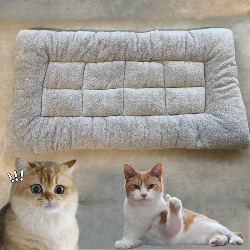 Thickened Super Soft Plush Sofa Bed