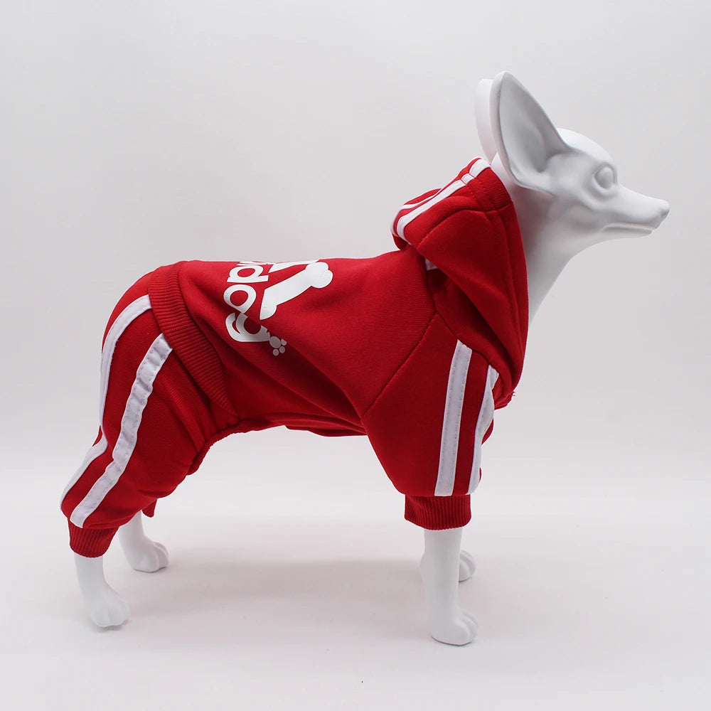 Comfortable Spring Dog Sports Suit