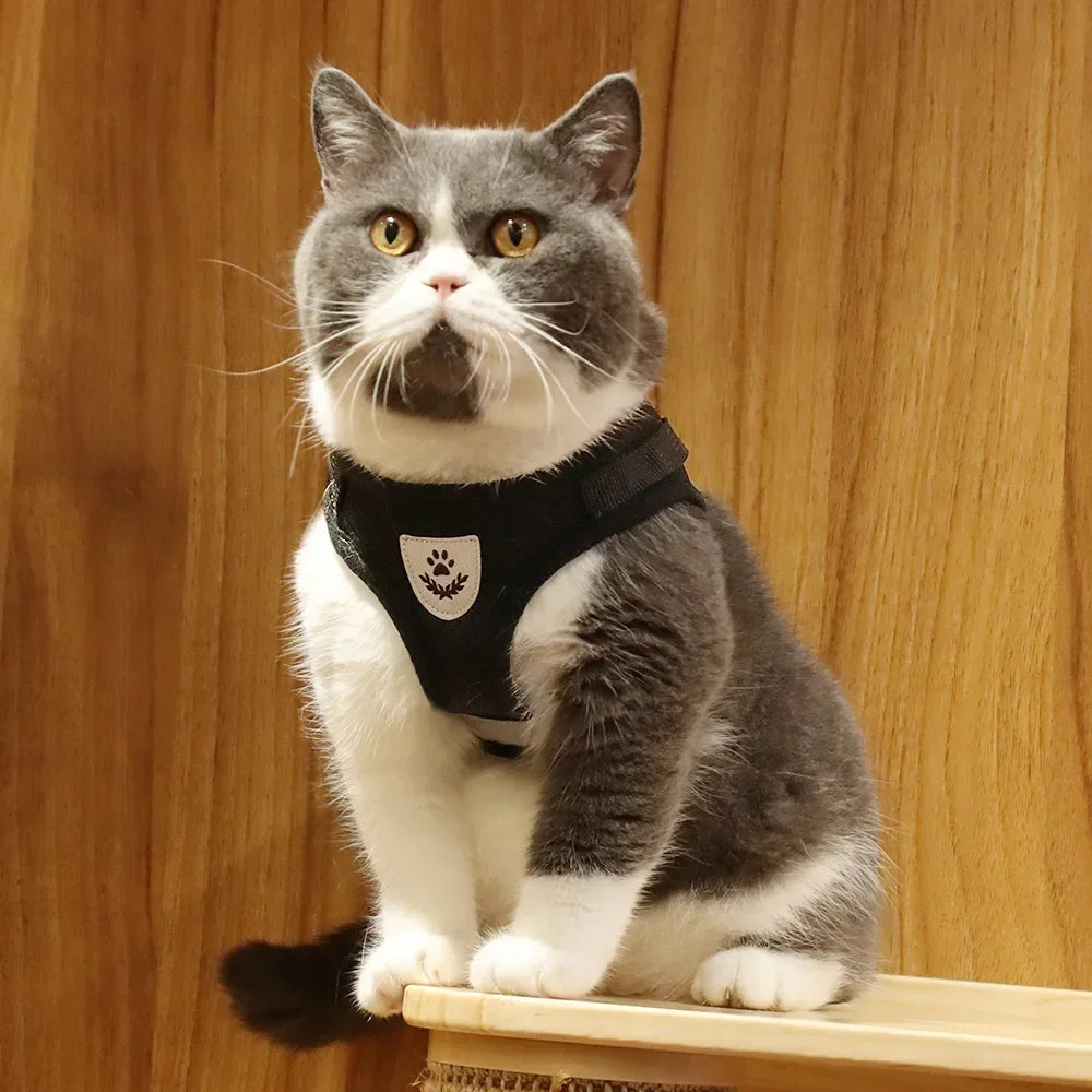 Escape-Proof Mesh Cat Harness Set