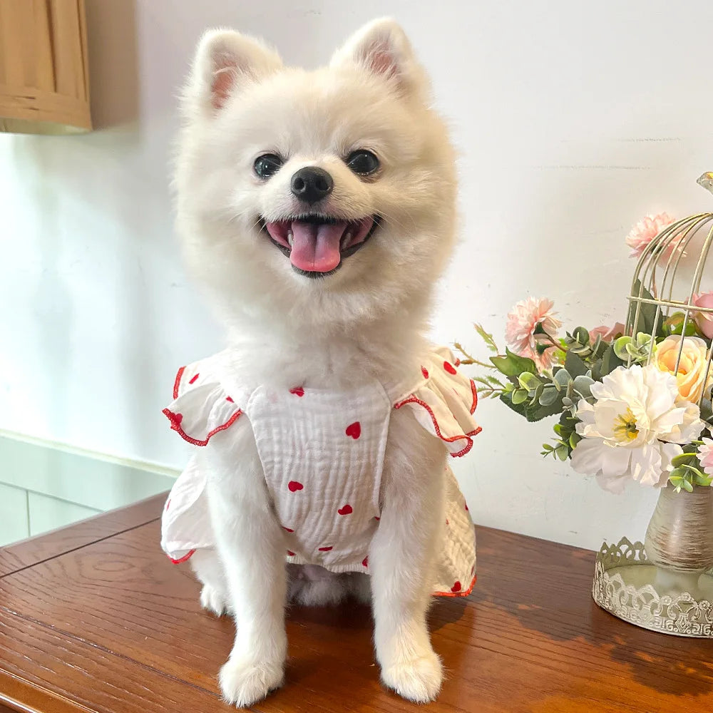 Sweet Cotton Pet Skirt Dress