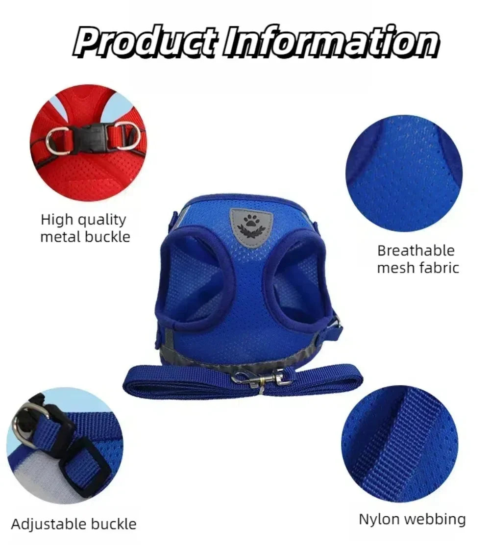 Escape-Proof Mesh Cat Harness Set