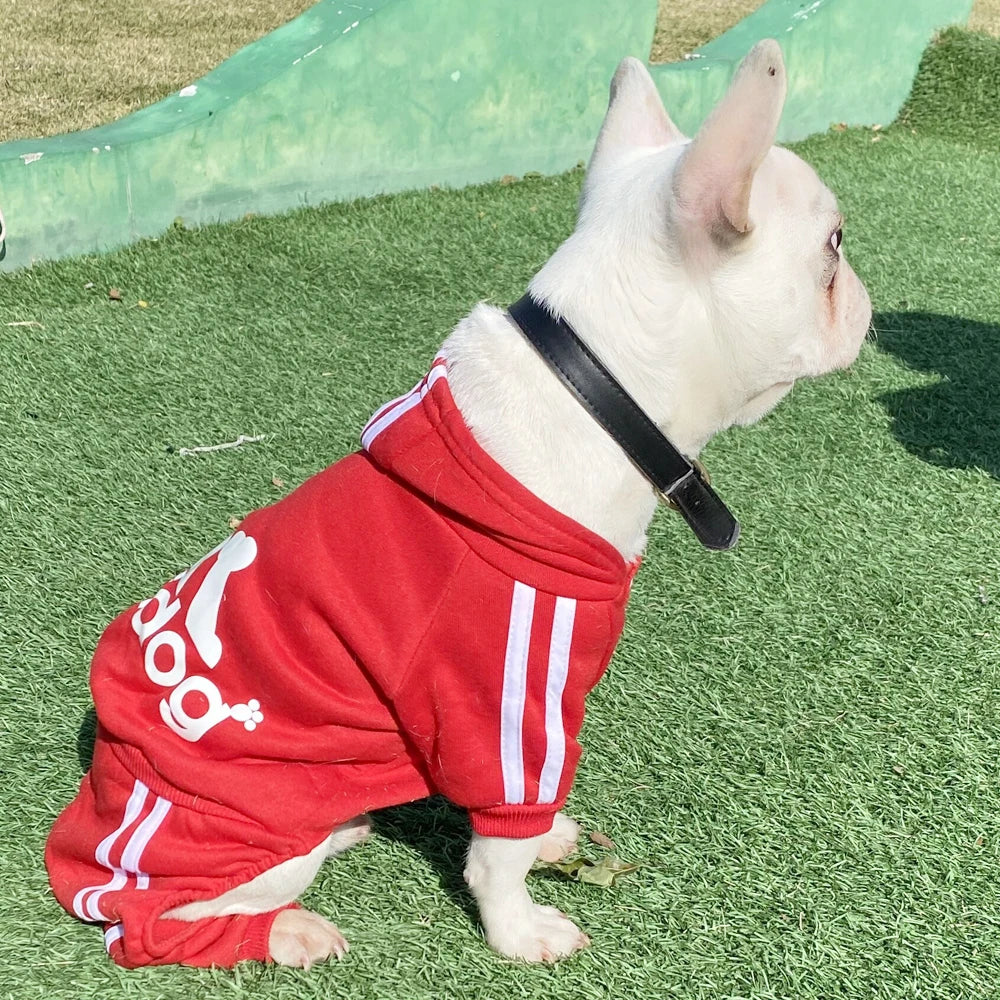 Comfortable Spring Dog Sports Suit