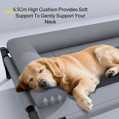 Pet Furniture Mesh Elevated Dog Beds Breathable Removable Raised Dog Bed With Soft Pillow Outdoor Dog Cat Bed Patio Sunbathing