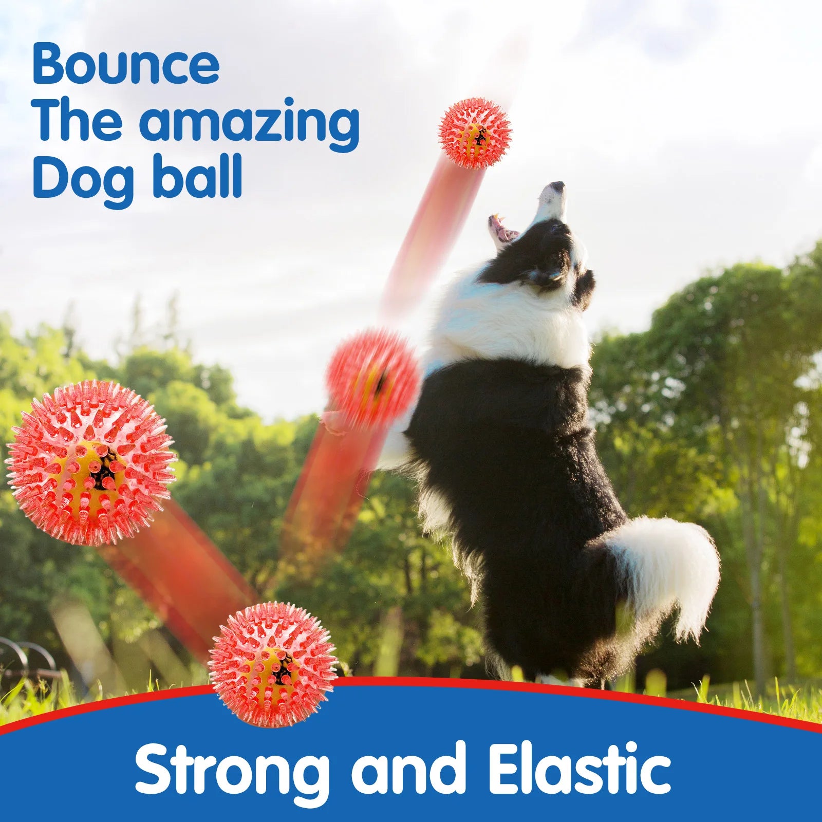 Pet dog toy, rubber tennis ball, prick ball, squeaking, grinding teeth, relieving boredom, accompanying various dogs of all size